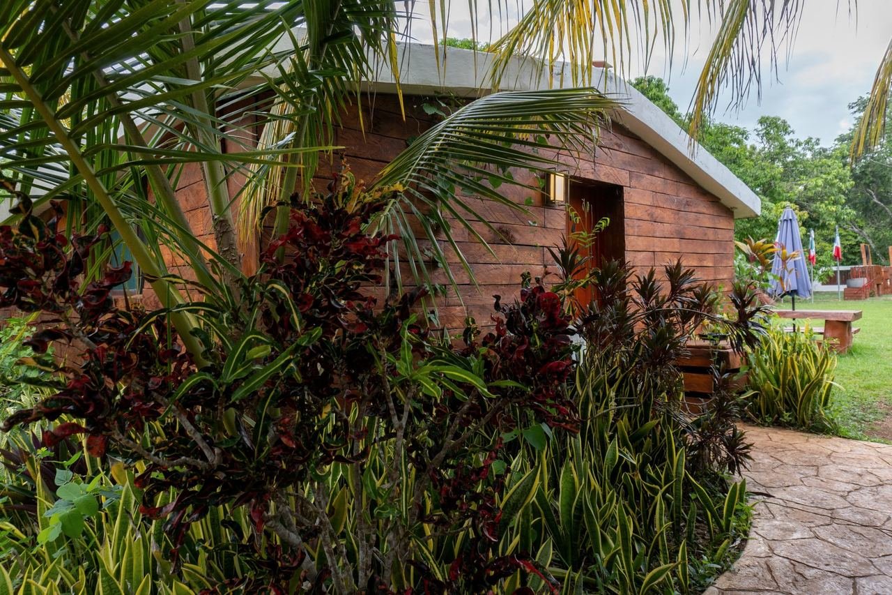 Cabaña de madera con techo de lámina entre plantas tropicales